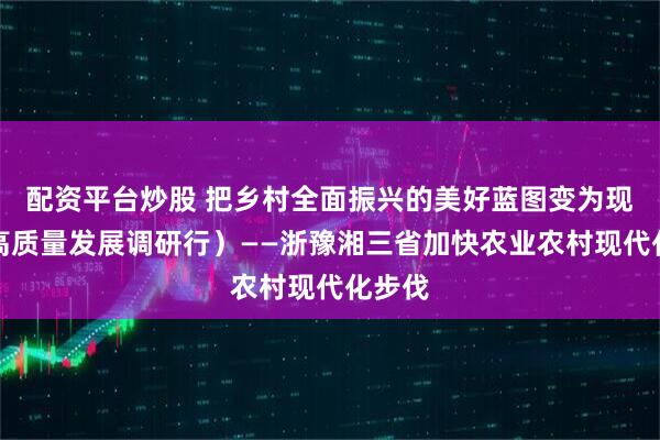 配资平台炒股 把乡村全面振兴的美好蓝图变为现实（高质量发展调研行）——浙豫湘三省加快农业农村现代化步伐