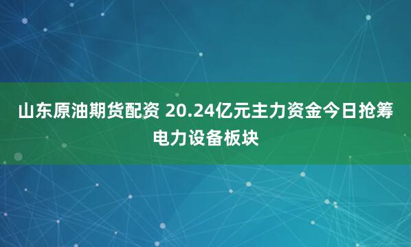 山东原油期货配资 20.24亿元主力资金今日抢筹电力设备板块