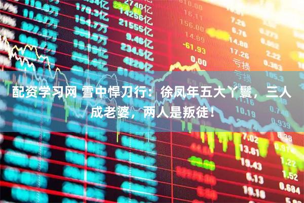 配资学习网 雪中悍刀行：徐凤年五大丫鬟，三人成老婆，两人是叛徒！